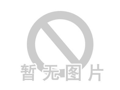 建站首年免费提供（域名）服务